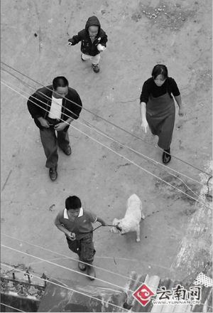 记者暗访杀狗黑作坊:满处血污恍如地狱(组图)