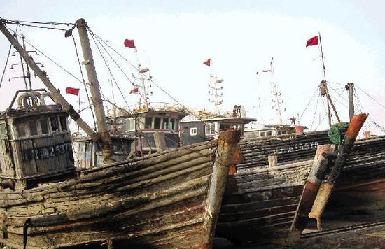 中国渔业困境:近海无鱼可捕 渔民越界韩国捕捞