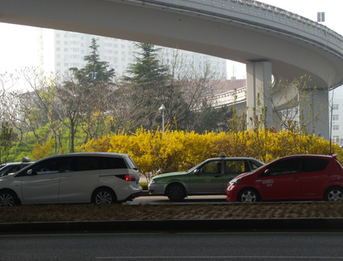 青岛24日将迎大雨雷电交加 阵风达8级_大雨 雷