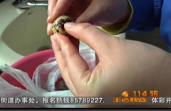 马上就办：鹌鹑蛋壳掉色 我来做实验