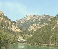 老人突然发病 隧道5路公交司机充当120救人