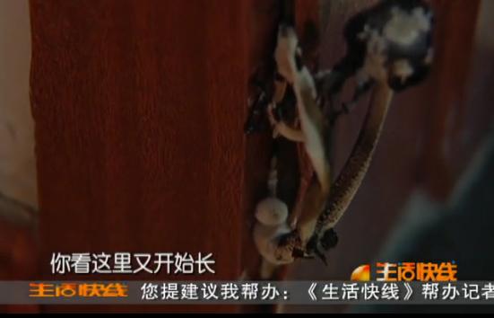 晓春有话说：防潮除湿 您有招么