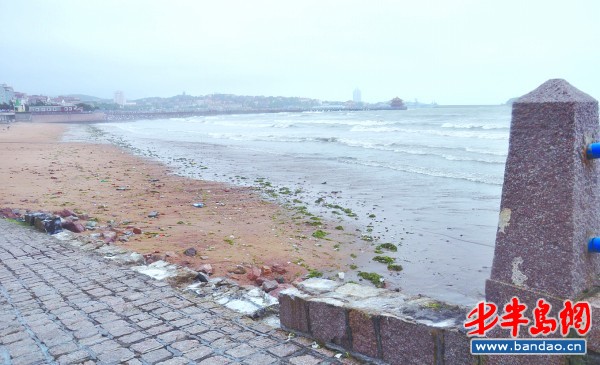 最大降水169毫米最大风力12级 青岛顶住 达维