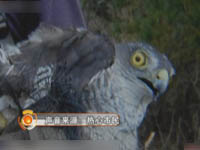 主播点一点：敬老也该细水长流