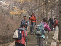 主播关注：423元的火车车票 内部员工只需2元