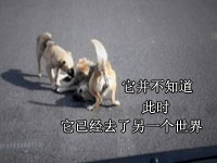 主播关注：贷记卡欠5分钱 5年滚成700块