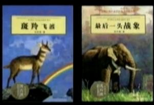 【才智访谈】沈石溪：动物王国的笔耕者