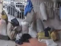 主播关注：别让露宿者默默死去