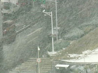 主播关注：危机公关or公关危机