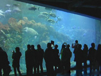 新年有礼：开心游极地