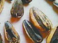 主播关注：请局长游泳