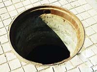 主播关注：还有什么能吃人？！