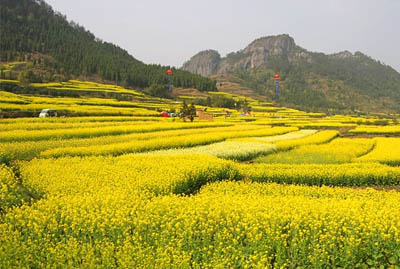 《仙居花香 雁荡山情》