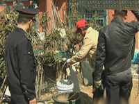 防控禽流感：城管取缔小区养鸡