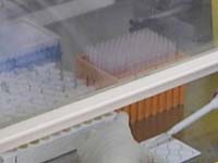 青岛：排除感染H7N9监测病例