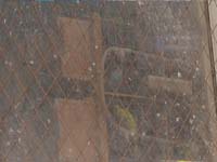 为难：治理“鸟巢”遇尴尬