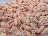 关注禽流感：记者探访青岛家禽养殖场