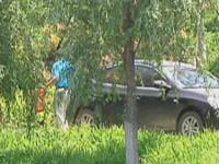 微博关注：小区惊现“神秘裂缝”？