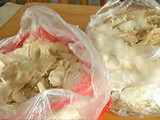 寻医问药：有病乱投医 遭遇大忽悠