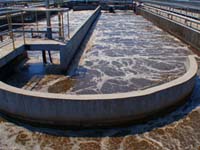 主播关注：污水处理厂登上污染榜