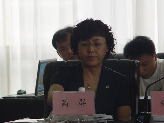 2010青岛国际帆船周筹备情况新闻发布会 高群