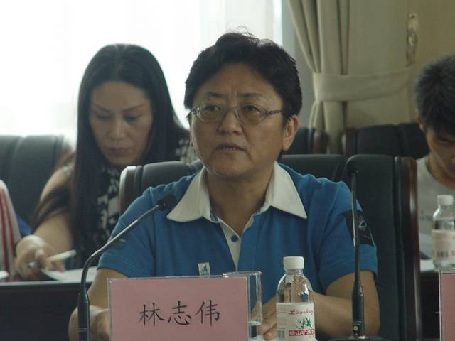 2010青岛国际帆船周筹备情况新闻发布会 林志伟
