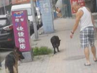 主播关注：令人震惊的数字