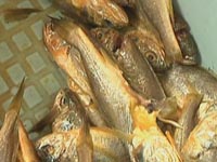 “晨鸿信息”给骗子当帮凶 发布虚假信息坑骗市民