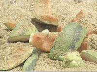 主播关注：感谢你的批评