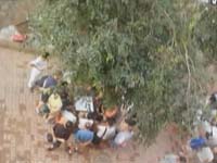 男子占地为王开“赌坊” 被逮现行交了底