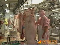 十大食品专项抽检：五家猪肉经营业户上黑名单