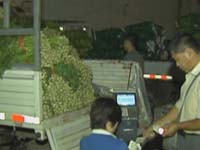 十大食品抽检结果追踪：问题蔬菜追查中