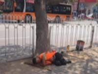 微关注：树荫下午睡的环卫工