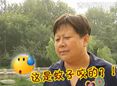 哪儿能买到小推车？