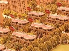 快线发售：五常大米下周二发售