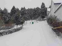 瑞雪兆丰年：马年迎春雪