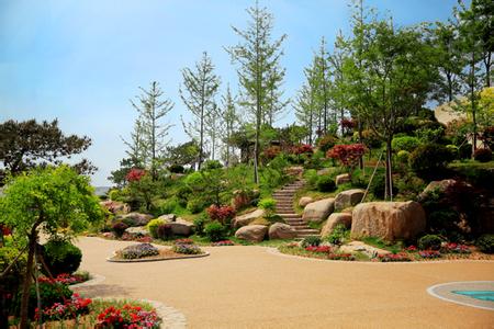 世园会特色线路玩法大推荐