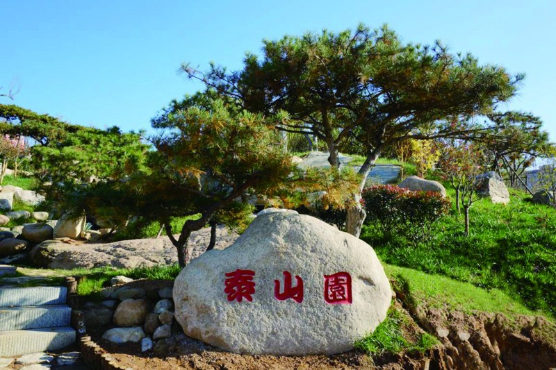 贺兰山下“塞外江南”(组图)