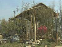 世园真奇妙：国际竹藤组织 法芬德展园一览