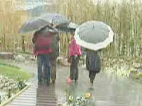 美景：世园会开门纳客 雨中世园别样美