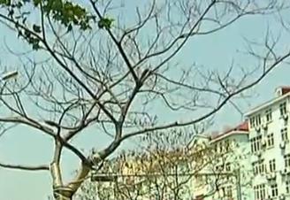 快线大集：换物火热开场