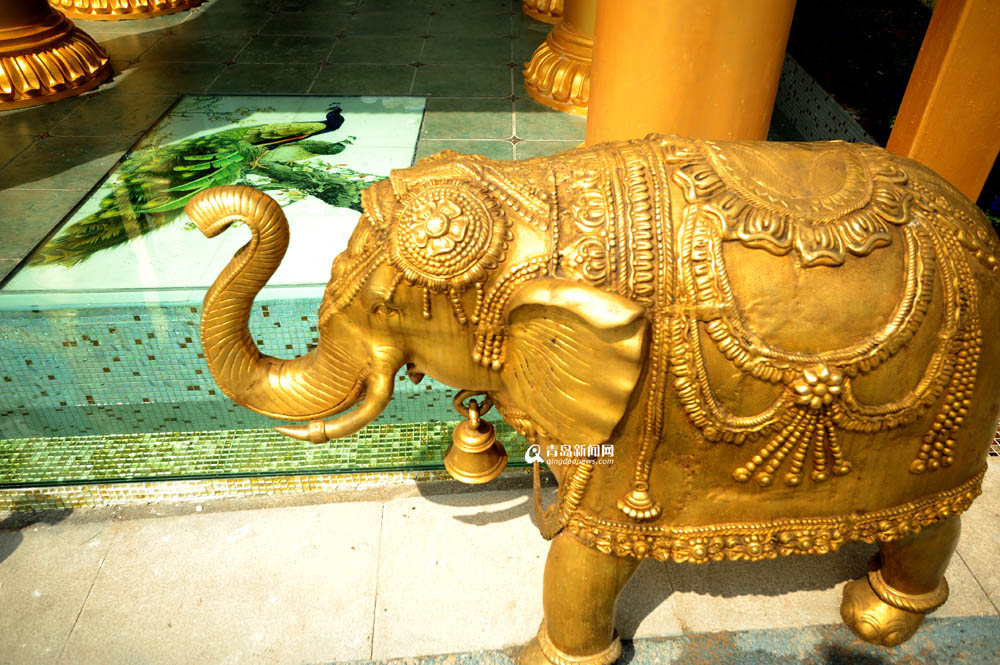 每日一馆：金色印度园 启程佛教国度虔诚之旅