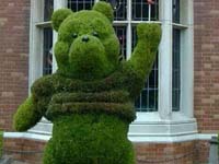 世界植物汇聚一堂 看世园会匠心独具的设计