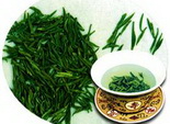 绝对美味：绿茵群英荟