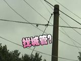 快帮：两个电线杆