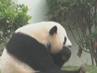 你怎么看：蔬菜快检，你会去做吗？