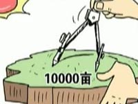 即墨河道养鸭鹅 粪便影响水质