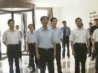 导视