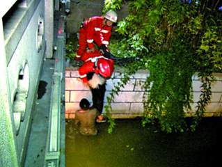 男子下河托举落水爱犬两小时