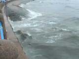 雨中帮办：海边劝离观光客